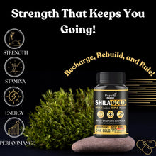Praviti's Shilajeet Gold Capsules | 100% Pure Himalayan Shilajit + 24 Carat Gold | Restores Vigor and Vitality | Boosts Stamina and Performance