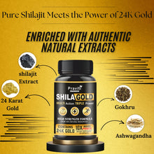 Praviti's Shilajeet Gold Capsules | 100% Pure Himalayan Shilajit + 24 Carat Gold | Restores Vigor and Vitality | Boosts Stamina and Performance